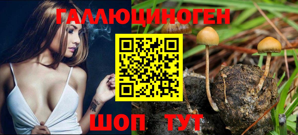 Псилоцибиновые грибы MAGIC MUSHROOMS Богородск